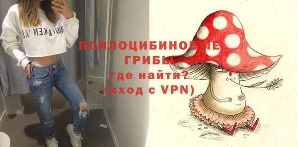 спиды Алексеевка
