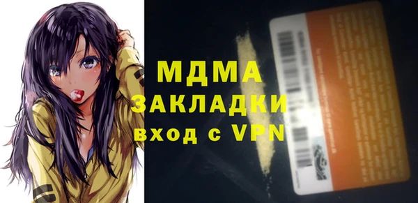 хмурый Арсеньев