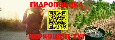 экстази Гай