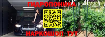 экстази Гай
